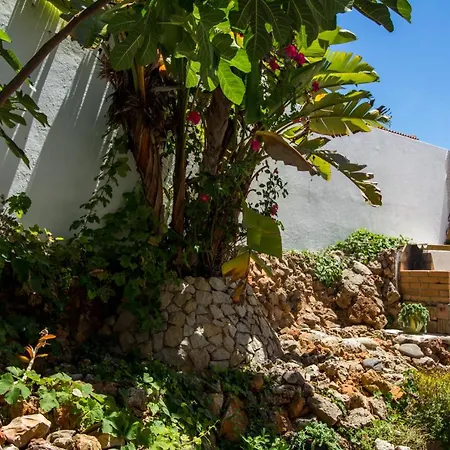 Albuera * البوفيرا